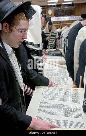 Die Männer verschiedener Altersgruppen lasen aus den Megillahs auf dem jüdischen Feiertag Purim. In einer Synagoge in Crown Heights, Brooklyn, New York City Stockfoto