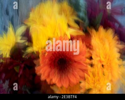 Impressionistische Blumenfotografie - Blumen. Mehrere Bilder wurden zusammengeführt, um einen künstlerischen Unschärfeeffekt zu erzielen. Stockfoto