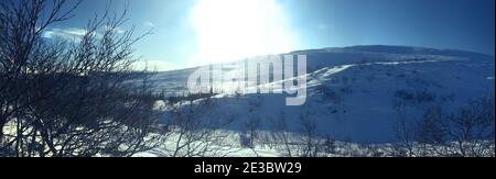 Skandinavisches Hochplateau im Winter. Das Panorama zeigt deutlich die Grenze von Nadelwald und Bergtundra. Im Vordergrund Birke c Stockfoto