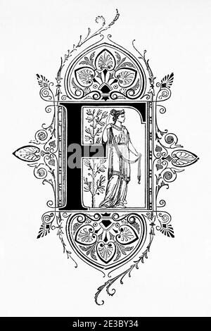Design des 19. Jahrhunderts, Anfangsbuchstabe F. Alte eingravierte Illustration des 19. Jahrhunderts, El Mundo Ilustrado 1880 Stockfoto