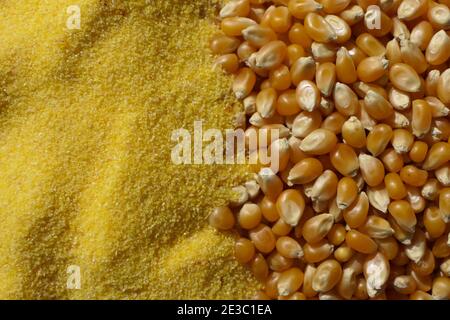 Ganze Maiskörner und geriebener Mais bereit, Polenta zu kochen Stockfoto