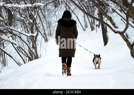 Einsames Mädchen, das einen Hund im Winterpark läuft. Konzept des kalten Schnees Wetter, Freizeit und gesunde Lebensweise Stockfoto