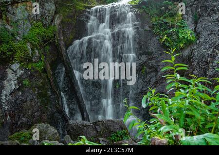 Wasserfall zwischen grünem Gras. Bergbach auf moosigen Felsbrocken im Sommer Regenwald. Alpine Kaskade der schnellen Strömung Stockfoto