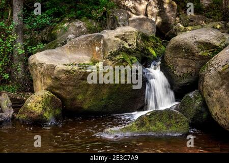 Wasserfälle Padley Gorge Peak District Derbyshire England, Großbritannien Stockfoto