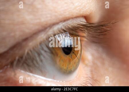 Ein gesundes Menschenauge ist ein Nahaufnahme-Makrofoto. Augenheilkunde Stockfoto