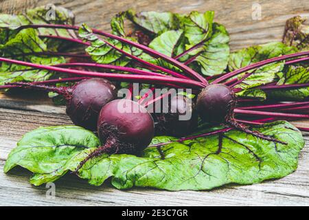 Rote Bete Knollen mit grünen Blättern auf Holztisch. Zubereitung von frischem Salat. Frisches Gemüse für vegetarische Küche. Rüben auf dem Straßenmarkt. Stockfoto