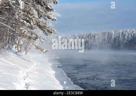 Winter Fluss mit frostigen Nebel über dem Wasser. Schneebäume am Ufer. Stockfoto