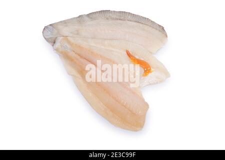 Studio Schuss von Filet aus Brill, ein Mitglied der Steinbutt-Familie, vor einem weißen Hintergrund geschnitten. Stockfoto