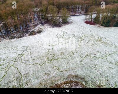 Blick von oben im Sloterpark mit wenig Schnee auf Gras In Amsterdam, Niederlande Stockfoto