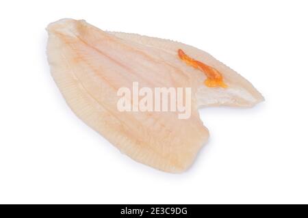 Studio Schuss von Filet aus Brill, ein Mitglied der Steinbutt-Familie, vor einem weißen Hintergrund geschnitten. Stockfoto