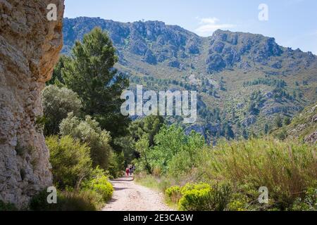 Beliebter Wanderweg entlang einer stillgegangenen Eisenbahnstrecke in Villalonga In der Valencianischen Region von Spanien Stockfoto