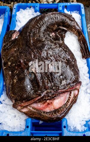 Frischer Fisch zu verkaufen am Borough Market, London, UK. Stockfoto