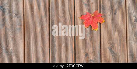 Auf einem Hintergrund aus braunen Holzplanken liegt ein rotes Ahornblatt Stockfoto
