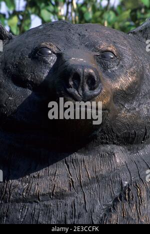 Bear Kettensäge Carving, Grants Pass, Oregon Stockfoto