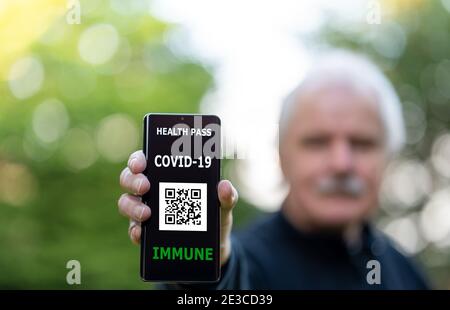 Älterer Mann, der einen Impfpass auf einem Mobiltelefon vorweist, der auf eine Impfung gegen covid-19 hinweist. Stockfoto