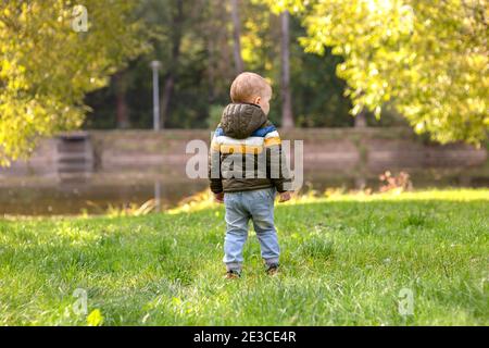 Ein einsamer kleiner Junge geht in einer Jacke auf einer grünen Wiese in einem Park im Frühjahr oder Frühherbst. Stockfoto