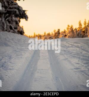 Langlaufloipe, die im Winter durch einen arktischen Wald führt. Stockfoto