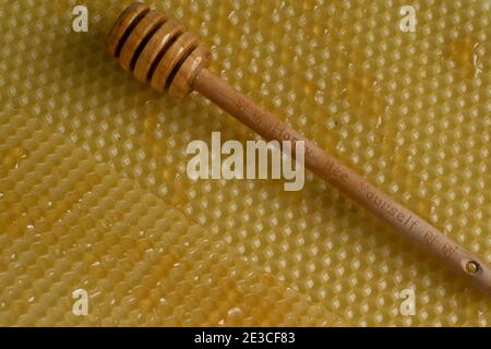 Nahaufnahme von Honiglöffel mit rohem Honig auf Bienenwaben Hintergrund, gesunde Ernährung Konzept Stockfoto