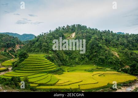 Ein schönes terrassenförmiges Grundstück im Tua Chua Bezirk, Provinz Dien Bien, Vietnam Stockfoto