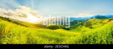 Ein schönes terrassenförmiges Grundstück im Tua Chua Bezirk, Provinz Dien Bien, Vietnam Stockfoto