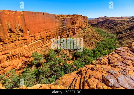 Hohe Mauern, roter Sandstein und Garten Eden mit Gummibäumen und Buschvegetation. Panoramablick auf Watarrka National Park, Australien Outback Red Stockfoto