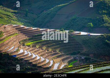 Ein schönes terrassenförmiges Grundstück im Tua Chua Bezirk, Provinz Dien Bien, Vietnam Stockfoto