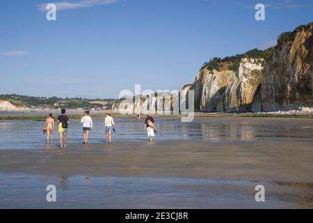 Familie am Fuße der Kreidefelsen bei Ebbe am Strand von Petit Ailly, entlang der Küste von Òcote dÕAlbatreÓ (Alabasterküste) Stockfoto
