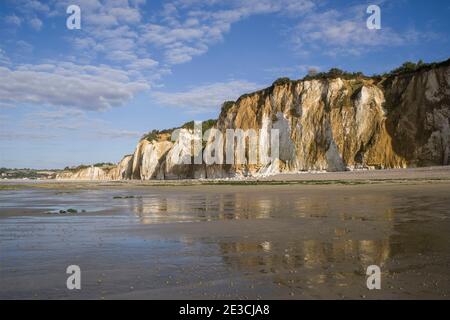 Varengeville-sur-Mer (Nordfrankreich): Klippen bei Ebbe am Strand von Petit Ailly, entlang der Küste von Òcote dÕAlbatreÓ (Alabasterküste) Stockfoto