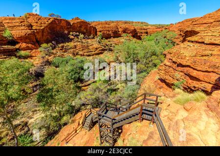 Treppen entlang des Kings Canyon Rim führen hinunter zum Garden of Eden, Watarrka National Park, Northern Territory. Zerklüftete Landschaft, roter Sandstein, Gummibäume Stockfoto