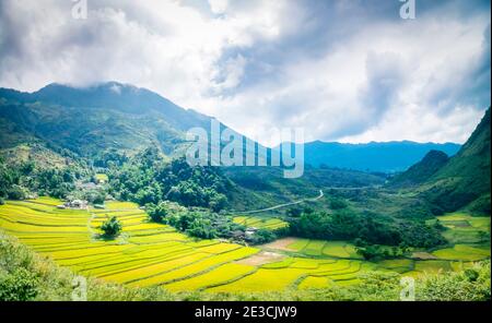 Ein schönes terrassenförmiges Grundstück im Tua Chua Bezirk, Provinz Dien Bien, Vietnam Stockfoto