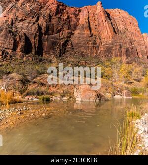 Der Virgin River fließt vorbei an Angels Landing, Zion National Park, Utah, USA Stockfoto