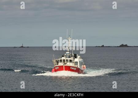 Le Conquet (Bretagne, Nordwestfrankreich): Fischerboot und Fang des Tages Stockfoto