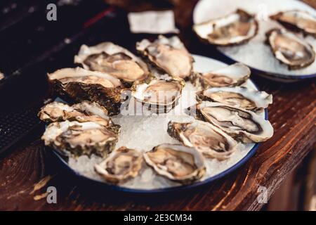 Geöffnet Oysters Fines de Claire auf Teller mit Eis Stockfoto