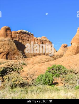 Blick auf die hohe Wüste des Archers National Park, Utah, mit Juniper-Pinyon Pine Wald mit einer Klippe aus Entrada Sandstein im Hintergrund Stockfoto