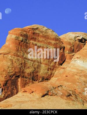 Die roten Klippen von Entrada Sandstein, im Archers National Park, Utah, am Morgen mit dem Mond im Hintergrund Stockfoto