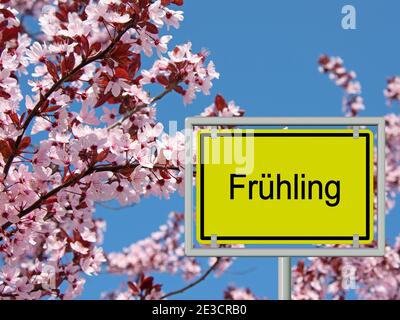 Wegweiser 'Frühling', Übersetzung 'Frühling', vor Baumblüten und blauem Himmel Stockfoto