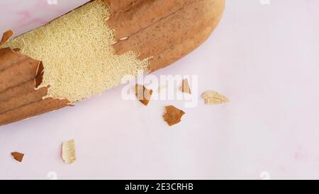 Eine getrocknete Luffa-Pflanze mit der Haut abgeschält, die die faserige Loofah im Inneren offenbart. Mit rosa Marmor Hintergrund. Stockfoto