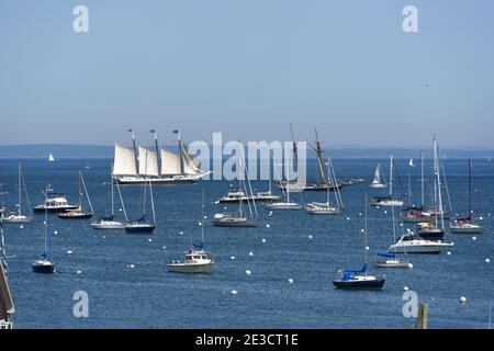 Segelboote und Yachten in Rockland Harbor im Sommer, Rockland, Maine, USA. Stockfoto