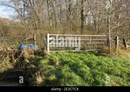 Altes geschlossenes Stahltor, das Zugang zu einer Wiese gibt Mit Bäumen Stockfoto