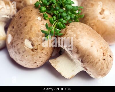 Frische Champignons Pilze isolierten auf weißen Hintergrund Stockfoto