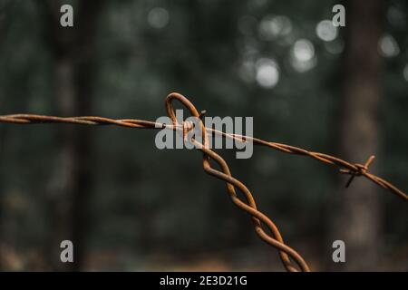 Nahaufnahme von verrosteten Stacheldraht-Zaundrähten, die sich kreuzen Stockfoto