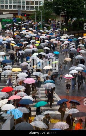 Scramble Crossing am Hachiko Square Shibuya, angeblich die verkehrsreichste Fußgängerüberfahrt der Welt. Es ist von Videobildschirmen umgeben, was eine sehr Klinge Stockfoto