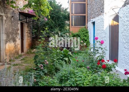 Kardamili, Peloponesse, Griechenland - 01. Juni 2019: Garten voller Blumen Stockfoto