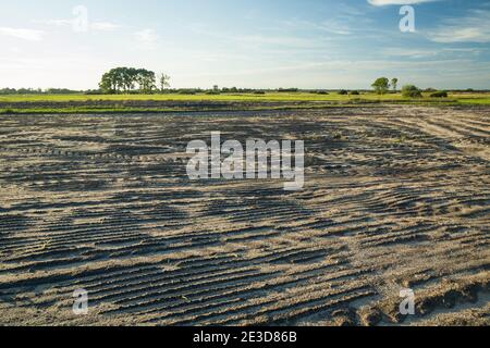 Gepflügte Feld, Spuren von Maschinen im Boden, Sommer ländlichen Blick Stockfoto