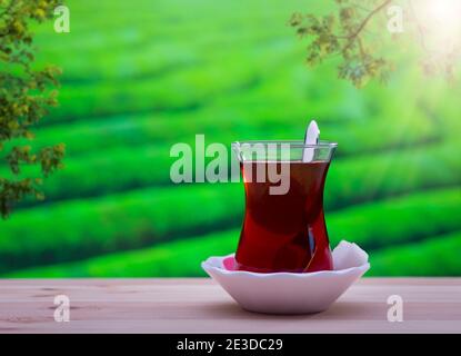 Türkischer Tee auf dem Tisch. Sonnenlicht im Hintergrund Teefeld Stockfoto