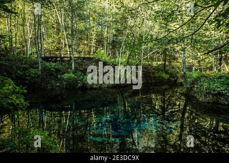 Landschaft von 'Kaminokoike', einem Teich, der für sein klares Wasser und seinen blau leuchtenden Seegrund im touristischen Gebiet des Akan Mashu Nationalparks in Hokkaido berühmt ist, Stockfoto