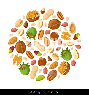 Cartoon Samen und Nüsse. Mandel, Erdnuss, Cashew, Sonnenblumenkerne, Haselnuss und Pistazie. Nutfutter Vektorgrafik Set Stock Vektor