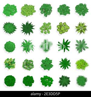 Bäume Draufsicht. Grünpflanzen, Büsche, Sträucher und Bäume für Landschaft oder architektonische Gestaltung. Natur grüne Räume Vektor Illustration Set Stock Vektor