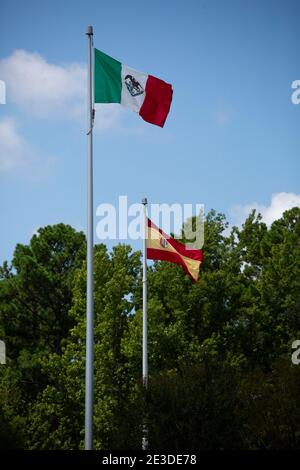 Grün, weiß, rote Flagge Mexikos, knallend im Wind Stockfoto