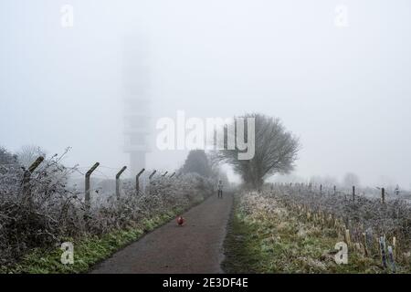 Eine Frau geht an einem frostigen und nebligen Tag im Stoke Park in Bristol mit einem Hund unter den Purdown BT Transmitter. Stockfoto